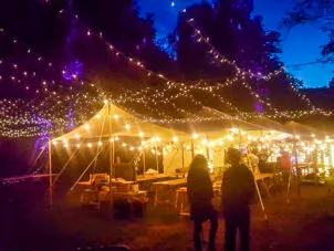 Extra Large Party Canopy LIghts