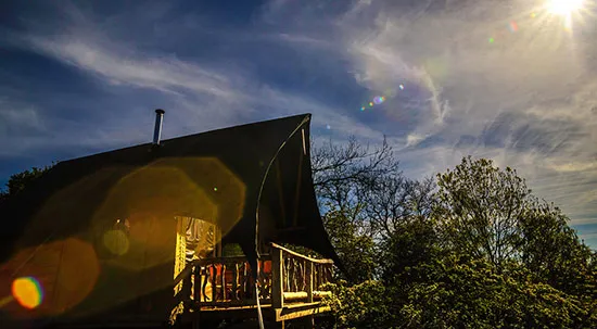 Bees Bower Perfect Glamping