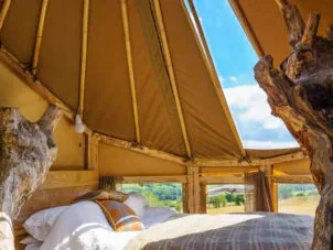 Phoenix Treehouse Custom Canvas roof Bedroom